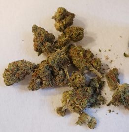 Nákup odrůdy konopí Banana Split online v Brně v České