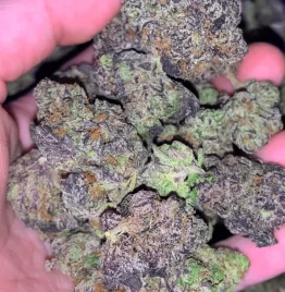 Runtz OG Strain