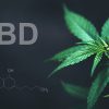 Curious about CBD? Discover what science says about its benefits