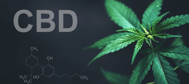 Curious about CBD? Discover what science says about its benefits