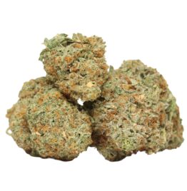 OG Kush Premium Indica-Dominant Hybrid Cannabis Strain