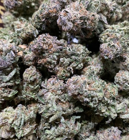 Cannabissorte „Bruce Banner“ online in Berlin Deutschland zu kaufen