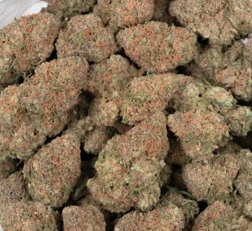 Acheter la variété de cannabis Cherry Punch en ligne à Marseille en France