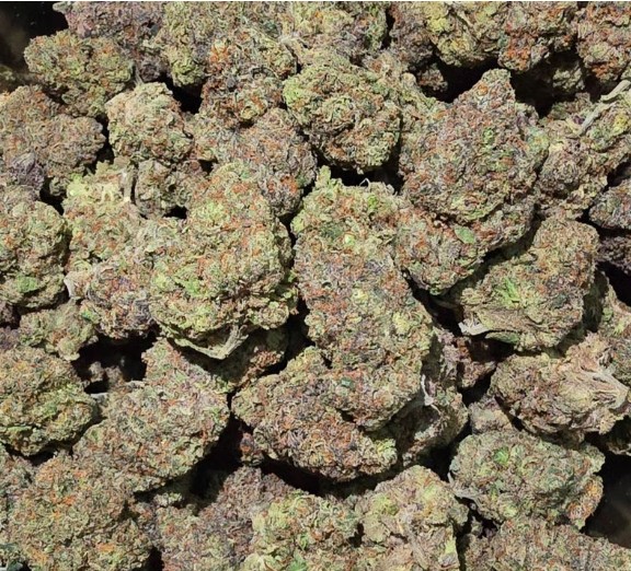 Ice Cream Cake Cannabis Strain