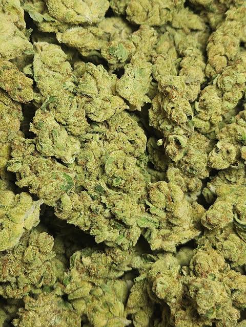 Blue Dream-cannabissoort online kopen in Amsterdam Nederland